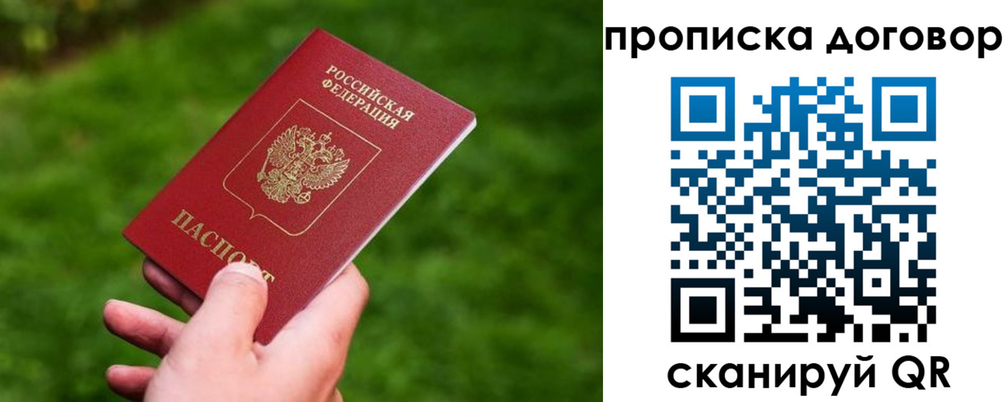 прописка гарантия в Тамбове